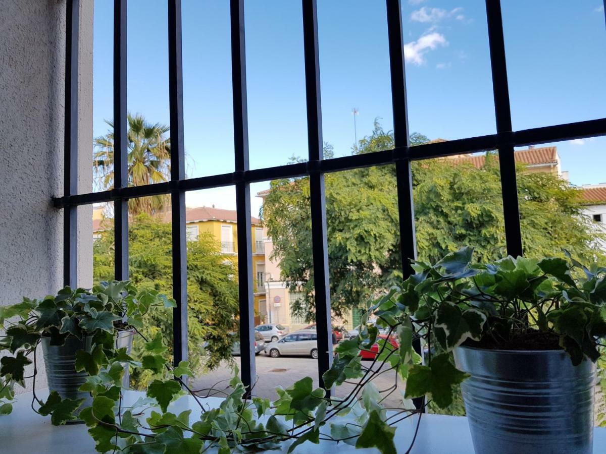 **** Genuar Center Apartament